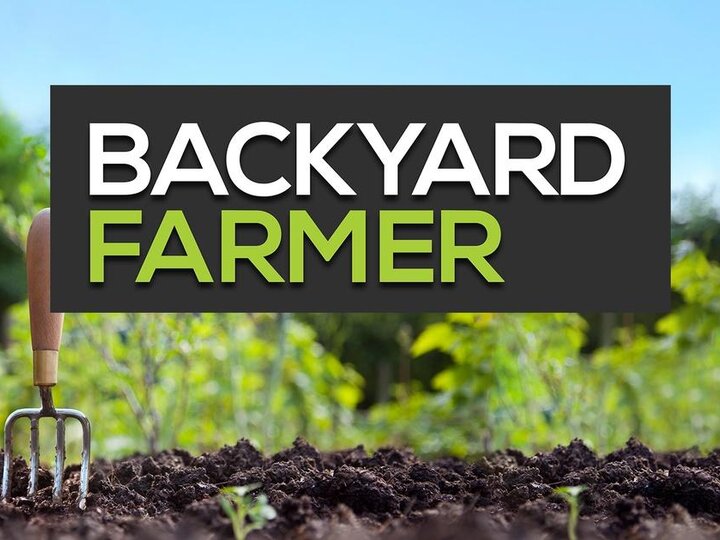 Backyard Farmer